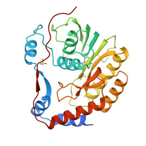 Rcsb Pdb 2wa2 Structure Of The Methyltransferase Domain From Modoc Virus A Flavivirus With No Known Vector Nkv