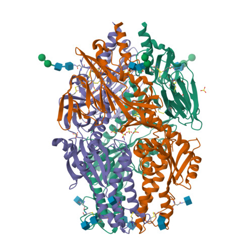 Rcsb Pdb 5wb0 Crystal Structure Of Human Metapneumovirus Fusion Glycoprotein Stabilized In The Prefusion State