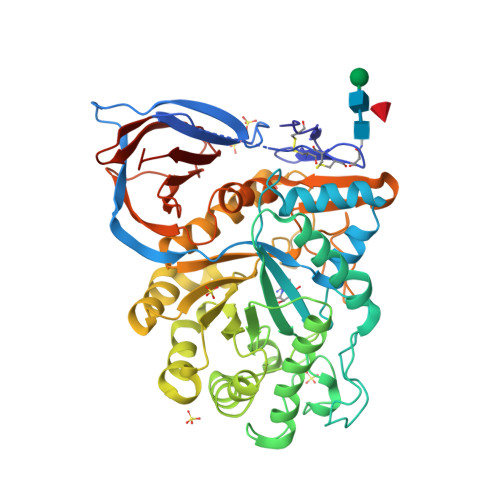 Rcsb Pdb 2wcg X Ray Structure Of Acid Beta Glucosidase With N Octyl Cyclic Guanidine Nojirimycin In The Active Site