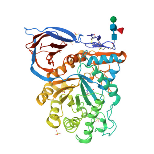 Rcsb Pdb 2wcg X Ray Structure Of Acid Beta Glucosidase With N Octyl Cyclic Guanidine Nojirimycin In The Active Site