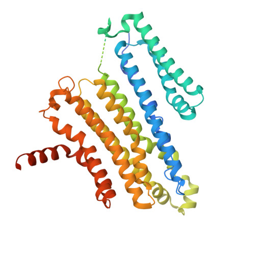 Rcsb Pdb 6wc9 Human Open State Tmem175 In Kcl