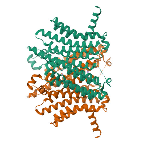 Rcsb Pdb 6wc9 Human Open State Tmem175 In Kcl