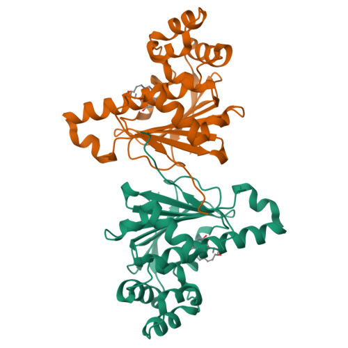 Rcsb Pdb 2wer Yeast Hsp90 N Terminal Domain Li Iv Mutant With Radicicol