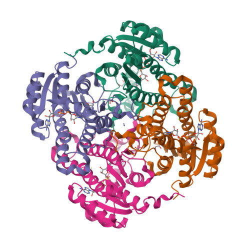 image of structure for 4WEC