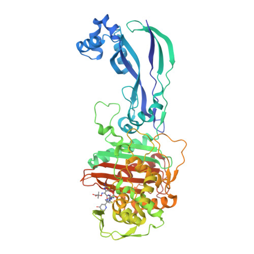 pbp3 pdb