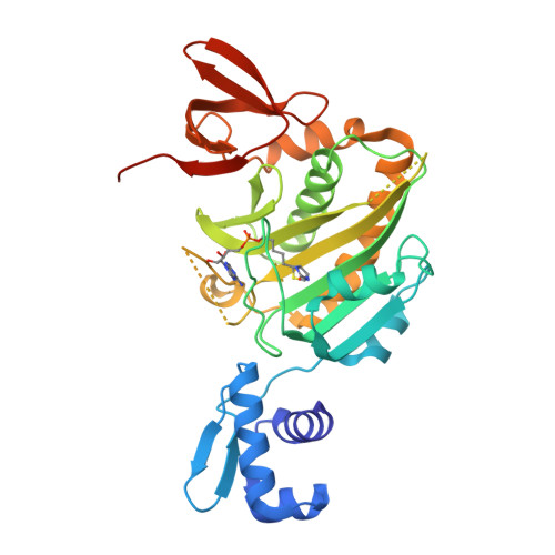 Rcsb Pdb 4wf2 Structure Of E Coli Bira G142a Bound To Biotinol 5 Amp