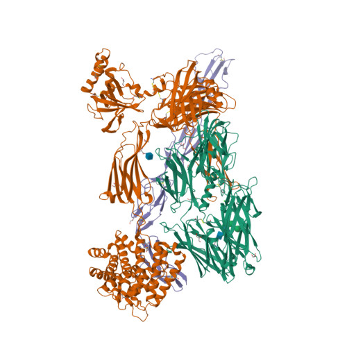 Rcsb Pdb 2wii Complement C3b In Complex With Factor H Domains 1 4