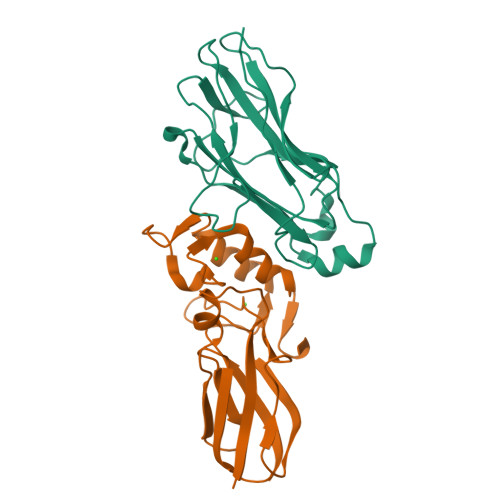 Rcsb Pdb 4wi0 Crystal Structure Of Coh3scab Xdoc M2scaa Complex A C Terminal Interface Mutant Of Type Ii Cohesin X Dockerin Complex From Acetivibrio Cellulolyticus