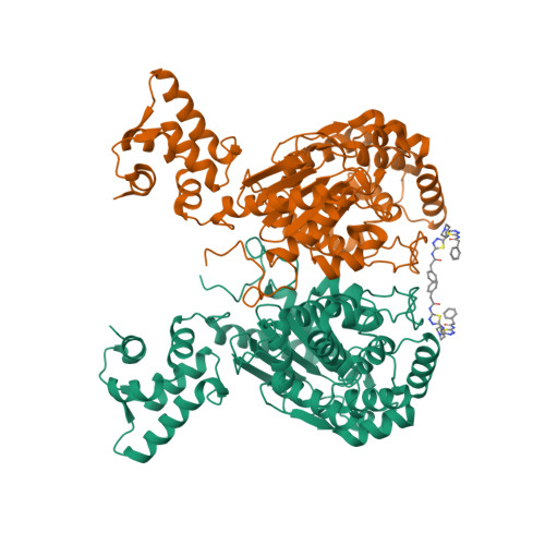 Rcsb Pdb 5wj6 Crystal Structure Of Glutaminase C In Complex With Inhibitor 2 Phenyl N 5 4 5 Phenylacetyl Amino 1 3 4 Thiadiazol 2 Yl Amino Piperidin 1 Yl 1 3 4 Thiadiazol 2 Yl Acetamide Upgl