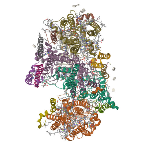 Rcsb Pdb 6wj6 Cryo Em Structure Of Apo Photosystem Ii From Synechocystis Sp Pcc 6803