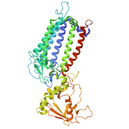 Rcsb Pdb 6wj6 Cryo Em Structure Of Apo Photosystem Ii From Synechocystis Sp Pcc 6803