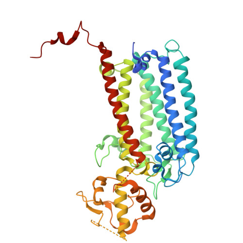 Rcsb Pdb 6wj6 Cryo Em Structure Of Apo Photosystem Ii From Synechocystis Sp Pcc 6803