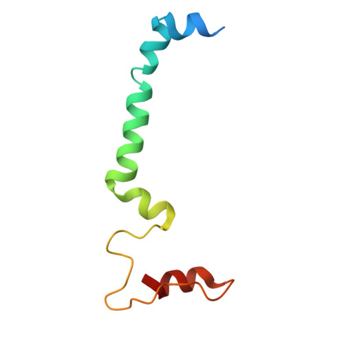 Rcsb Pdb 6wj6 Cryo Em Structure Of Apo Photosystem Ii From Synechocystis Sp Pcc 6803