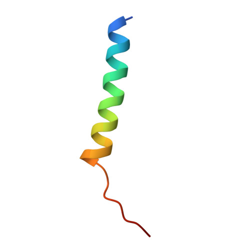 Rcsb Pdb 6wj6 Cryo Em Structure Of Apo Photosystem Ii From Synechocystis Sp Pcc 6803