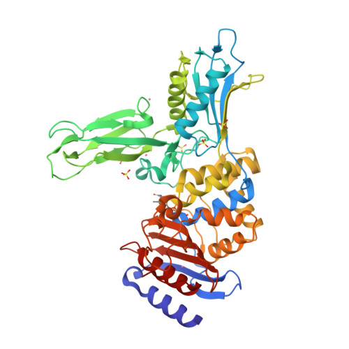 Rcsb Pdb 2wke Crystal Structure Of The Actinomadura R39 Dd Peptidase Inhibited By 6 Beta Iodopenicillanate