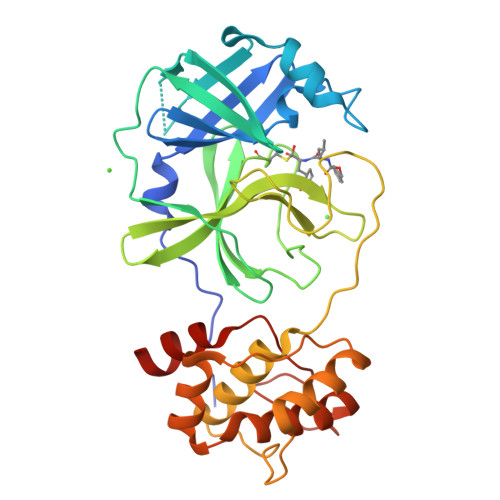 Rcsb Pdb 5wkj 2 05 A Resolution Structure Of Mers 3cl Protease In Complex With Inhibitor Gc376