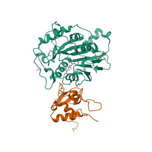 Rcsb Pdb 6wkq 1 98 Angstrom Resolution Crystal Structure Of Nsp16 Nsp10 Heterodimer From Sars Cov 2 In Complex With Sinefungin