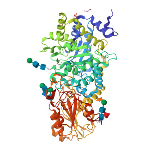 Rcsb Pdb 3wlk Crystal Structure Of Barley Beta D Glucan Glucohydrolase Isoenzyme Exo1 In Complex With 4 Deoxy Glucose