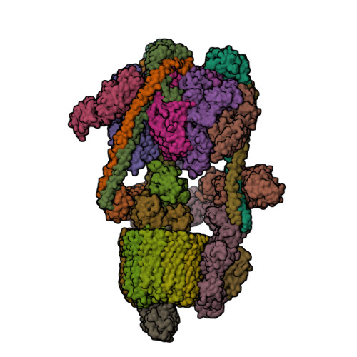 ATP6V0C image