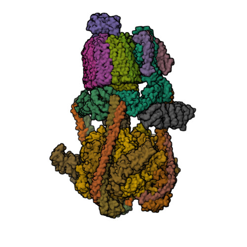 ATP6V0B image