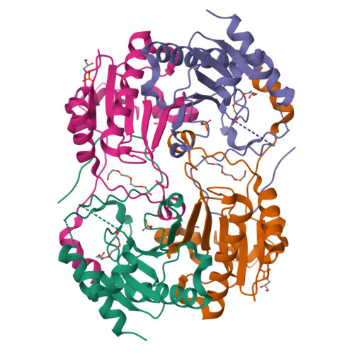 Rcsb Pdb 3wo5 Crystal Structure Of S147q Of Rv2613c From Mycobacterium Tuberculosis