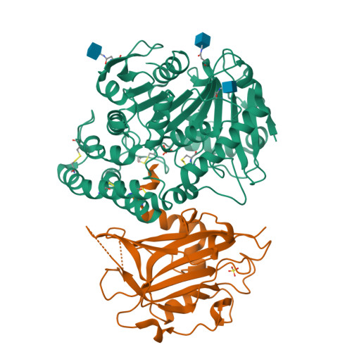 Rcsb Pdb 1wpx Crystal Structure Of Carboxypeptidase Y Inhibitor Complexed With The Cognate Proteinase