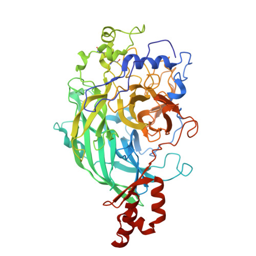 Rcsb Pdb 3wpy Microbacterium Saccharophilum K 1 Beta Fructofuranosidase Mutant T47s S0t F447v P500s