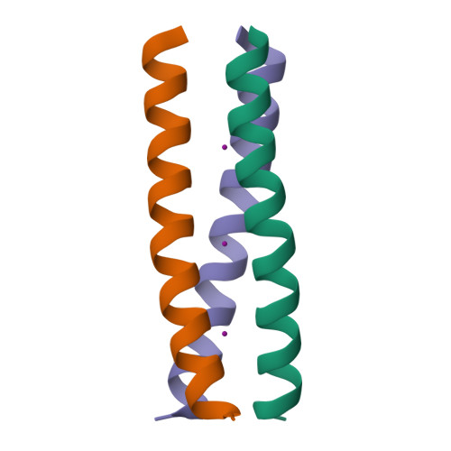 Rcsb Pdb 2wq2 Gcn4 Leucine Zipper Mutant With Three Ixxntxx Motifs Coordinating Iodide