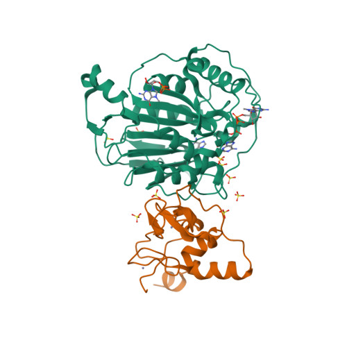 Rcsb Pdb 6wq3 Crystal Structure Of Nsp16 Nsp10 Heterodimer From Sars Cov 2 In Complex With 7 Methyl Gpppa And S Adenosyl L Homocysteine