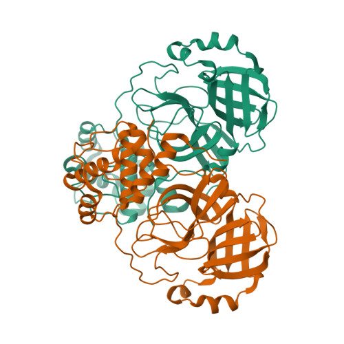 Rcsb Pdb 6wqf Structural Plasticity Of The Sars Cov 2 3cl Mpro Active Site Cavity Revealed By Room Temperature X Ray Crystallography