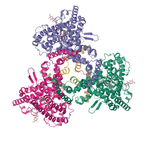 Rcsb Pdb 6wqz Structure Of Human Atg9a The Only Transmembrane Protein Of The Core Autophagy Machinery