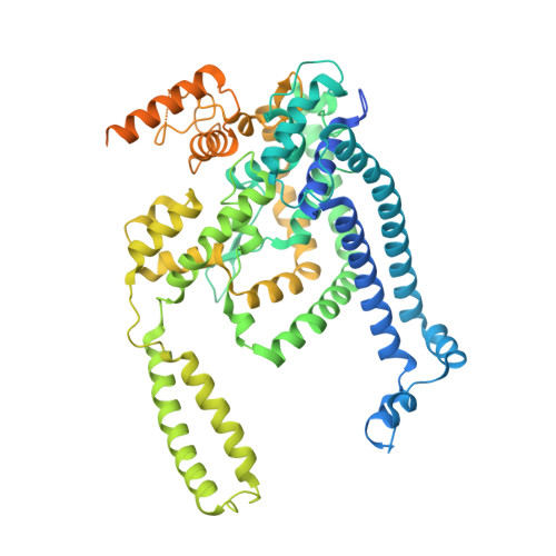 Rcsb Pdb 6wqz Structure Of Human Atg9a The Only Transmembrane Protein Of The Core Autophagy Machinery