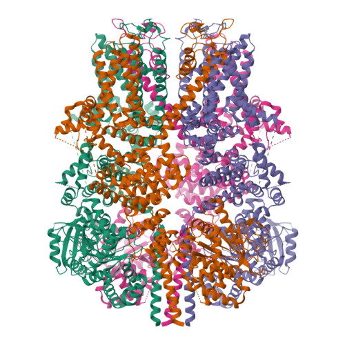 RCSB PDB: Homepage