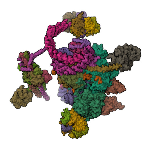 5WSG assembly