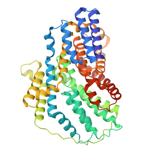 framework protein scaffold