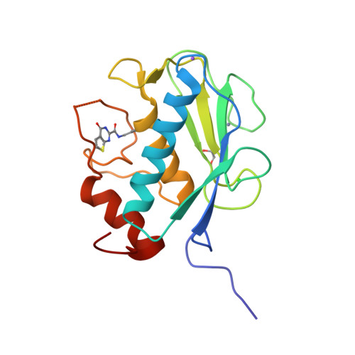 Rcsb Pdb 3wv3 Crystal Structure Of The Catalytic Domain Of Mmp 13 Complexed With N 3 Methoxybenzyl 4 Oxo 3 4 Dihydrothieno 2 3 D Pyrimidine 2 Carboxamide