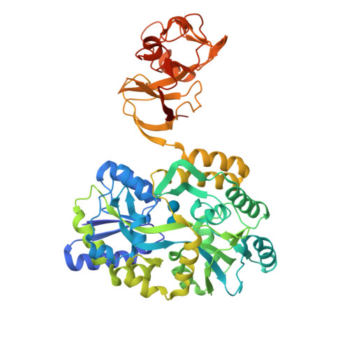 Protein Data Bank: 4WVG
