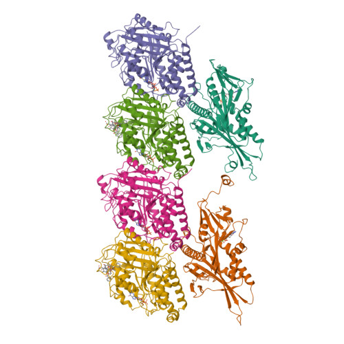 Rcsb Pdb 6wwh Kif14 391 772 Dimer Two Heads Bound State Amp Pnp In Complex With A Microtubule