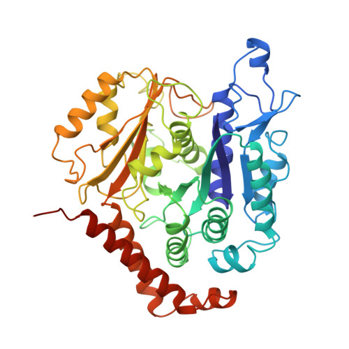 Rcsb Pdb 6wwh Kif14 391 772 Dimer Two Heads Bound State Amp Pnp In Complex With A Microtubule