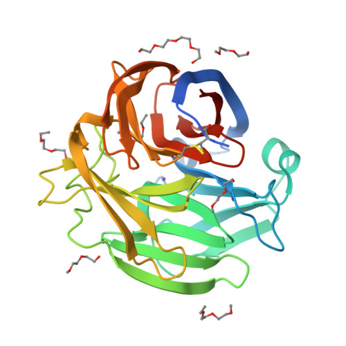 Rcsb Pdb 4wxq Crystal Structure Of The Myocilin Olfactomedin Domain