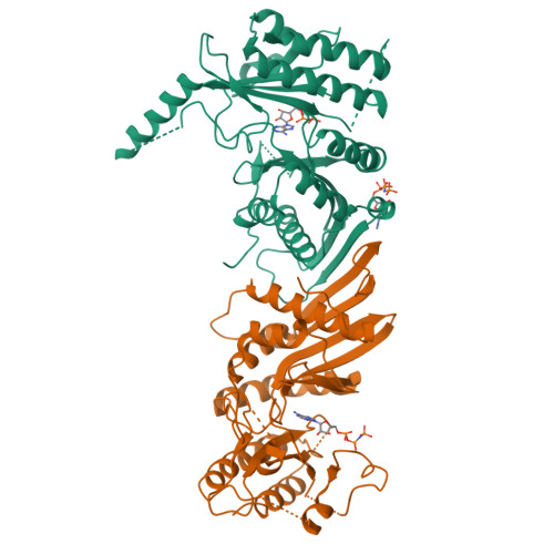 Rcsb Pdb 3x03 Crystal Structure Of Pip4kiibeta Complex With Amppnp