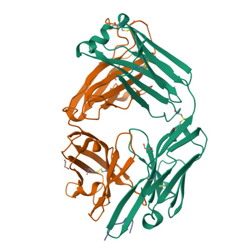 Rcsb Pdb 6x1v Structure Of Phis Fab Sc44 8 In Complex With Phis Mimetic Peptide