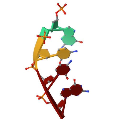 Rcsb Pdb 4x5v Crystal Structure Of The Post Catalytic Nick Complex Of Dna Polymerase Lambda With A Templating A And Incorporated 8 Oxo Dgmp