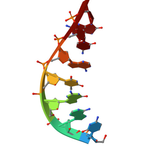 Rcsb Pdb 4x5v Crystal Structure Of The Post Catalytic Nick Complex Of Dna Polymerase Lambda With A Templating A And Incorporated 8 Oxo Dgmp