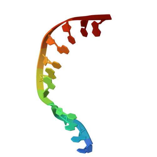 Rcsb Pdb 4x5v Crystal Structure Of The Post Catalytic Nick Complex Of Dna Polymerase Lambda With A Templating A And Incorporated 8 Oxo Dgmp