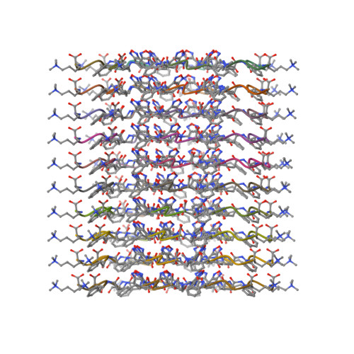 Rcsb Pdb 6x5i Cryo Em Of Peptide Like Filament Of 1 Kme3