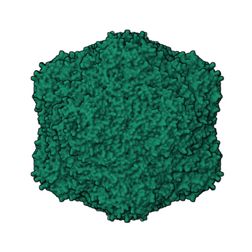 Rcsb Pdb 6x8m Cryoem Structure Of The Holo Srpi Encapsulin Complex From Synechococcus Elongatus Pcc 7942