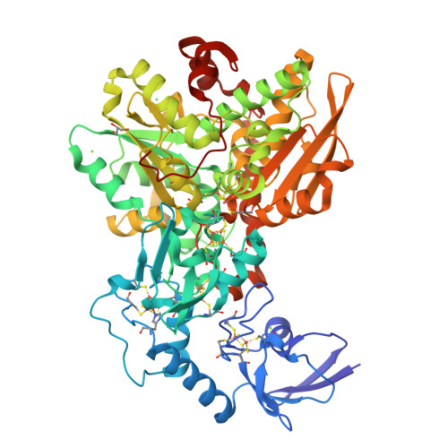 Rcsb Pdb 4xdd Apo Fefe Hydrogenase Cpi