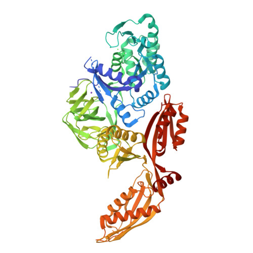 Rcsb Pdb 2xex Crystal Structure Of Staphylococcus Aureus Elongation Factor G