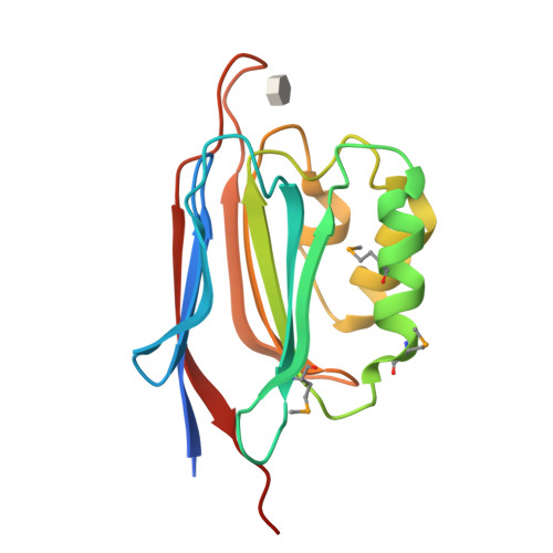 Rcsb Pdb 5xfc Serial Femtosecond X Ray Structure Of A Stem Domain Of Human O Mannose Beta 1 2 N Acetylglucosaminyltransferase Solved By Se Sad Using Xfel Refined Against 13 000 Patterns